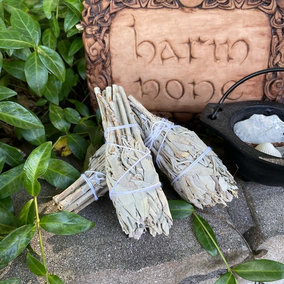 California White Sage Smudge TORCHES (3) FIRM - Picture 2 of 7